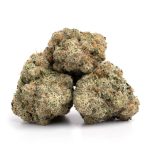 acapulco gold