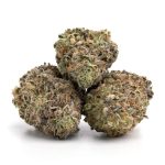 amnesia haze