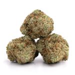 candy jack