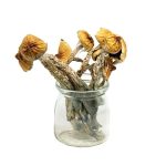 import placeholder for sku 32157