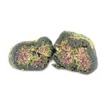 7gr ' doc's rocks (flower, hash oil, kief)