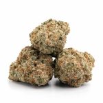 jamaican haze