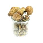 import placeholder for sku 32470