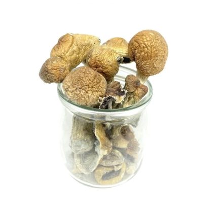 import placeholder for sku 32470
