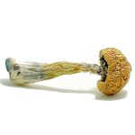 puerto rican magic mushrooms