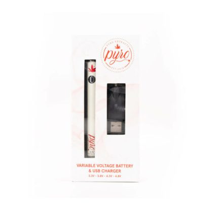 pyro ceramic vape pen kit 600x600 1 1.jpg